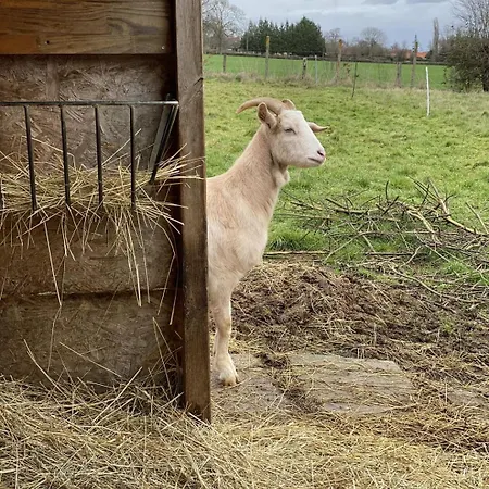 La Souveraine - - Château Le Bas Bleu