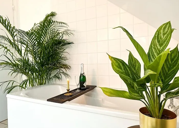 La Souveraine - - Château Le Bas Bleu Appartement *